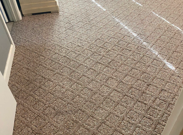 squared pattern carpet of a house