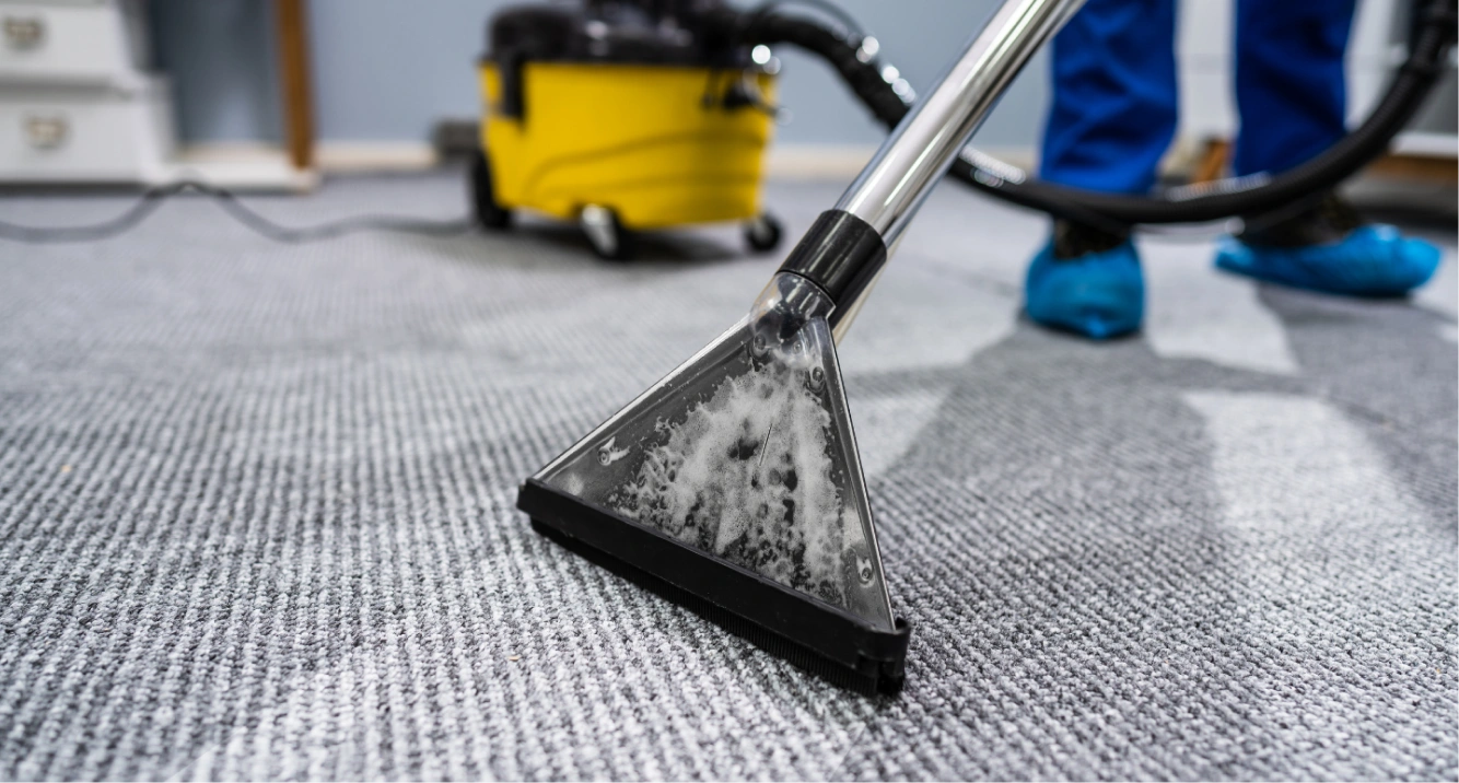 Carpet Cleaning
